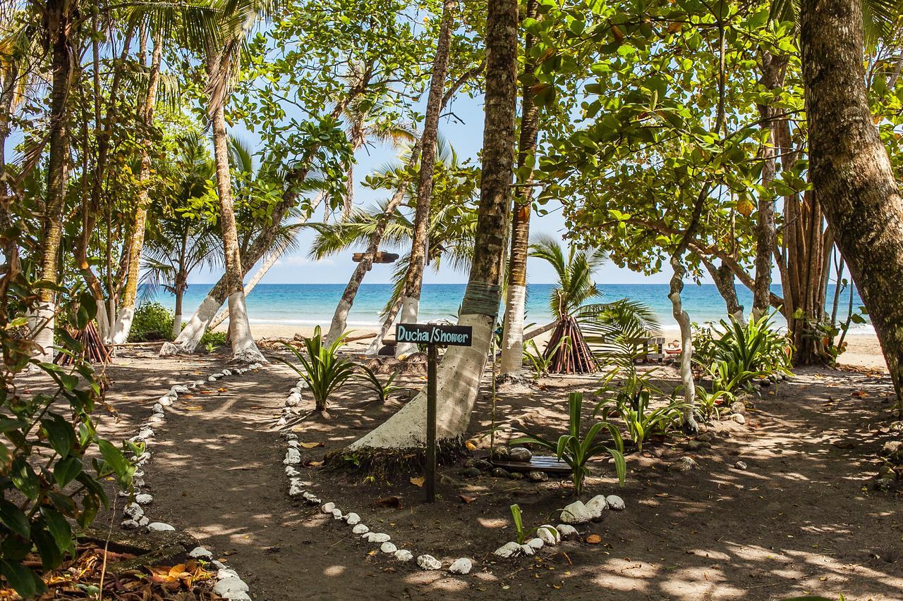 Lapalapa Beachfront Hotel Puerto Viejo de Talamanca Εξωτερικό φωτογραφία