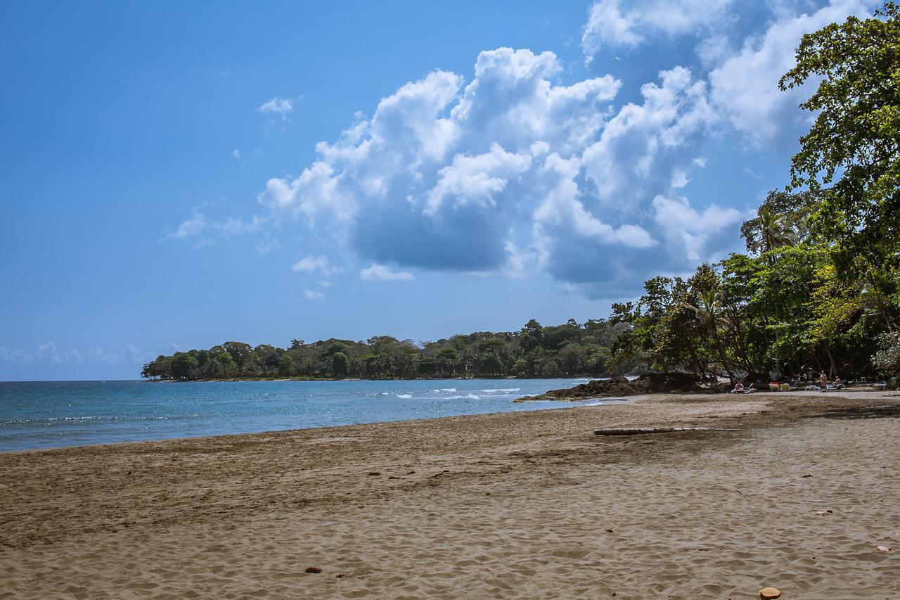 Lapalapa Beachfront Hotel Puerto Viejo de Talamanca Εξωτερικό φωτογραφία