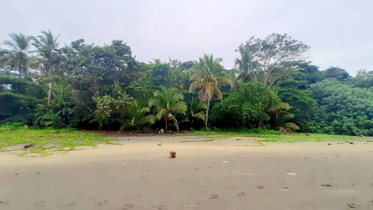 Lapalapa Beachfront Hotel Puerto Viejo de Talamanca Εξωτερικό φωτογραφία