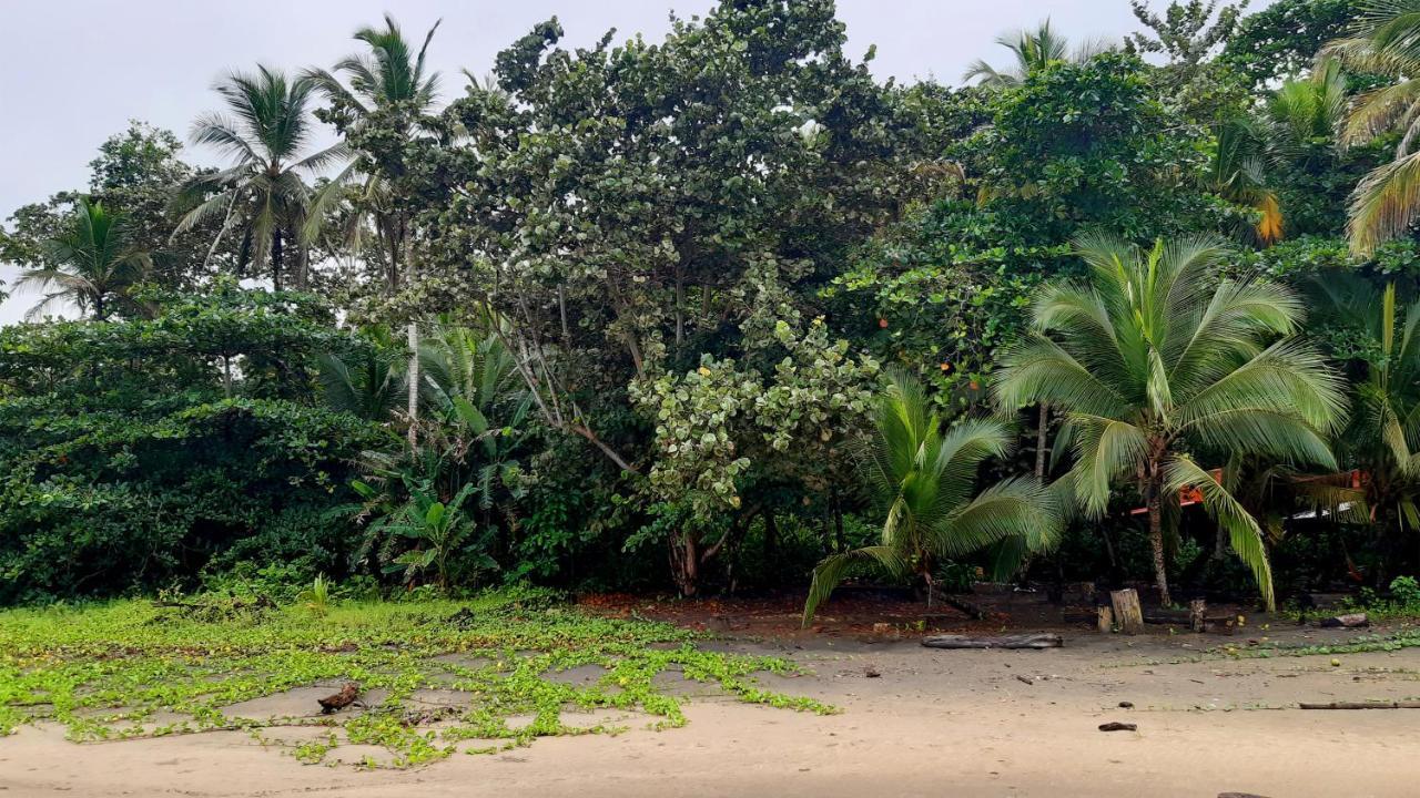 Lapalapa Beachfront Hotel Puerto Viejo de Talamanca Εξωτερικό φωτογραφία