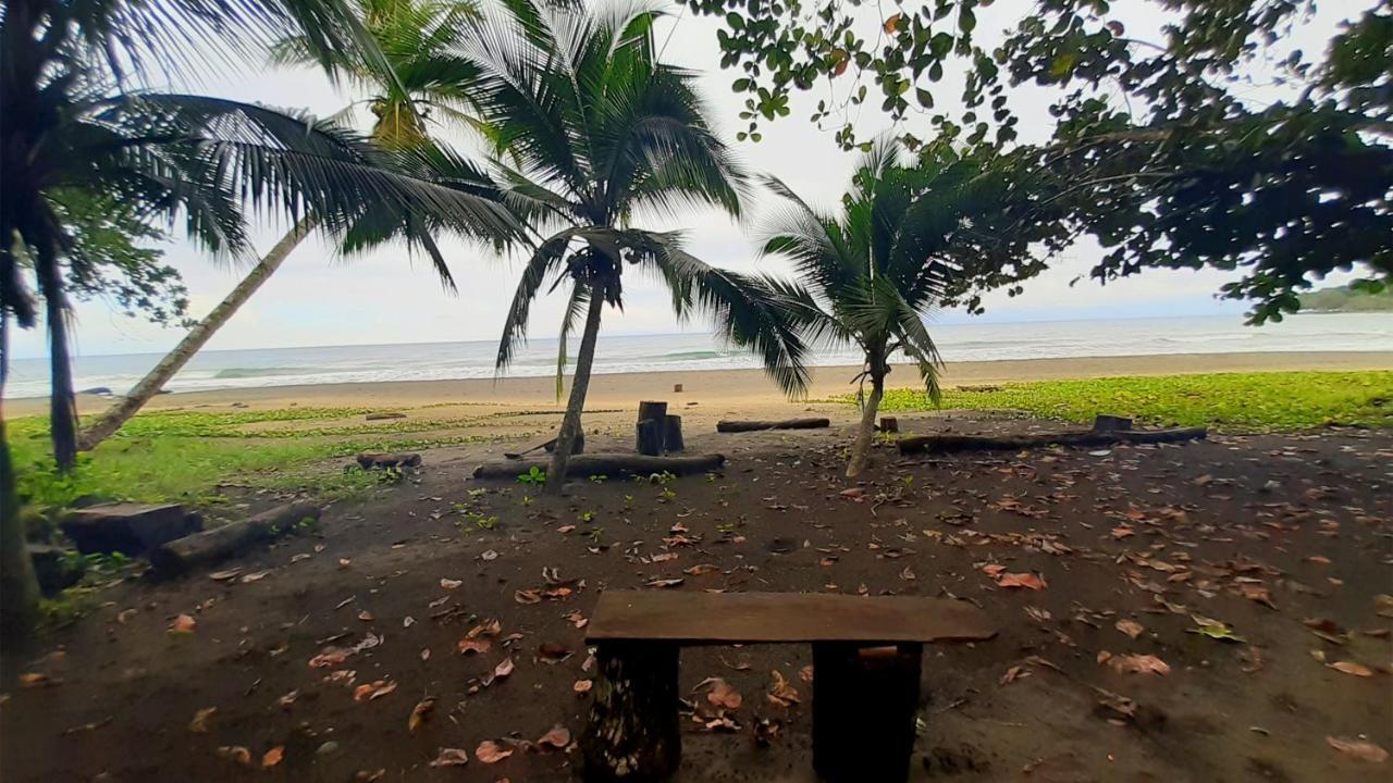 Lapalapa Beachfront Hotel Puerto Viejo de Talamanca Εξωτερικό φωτογραφία