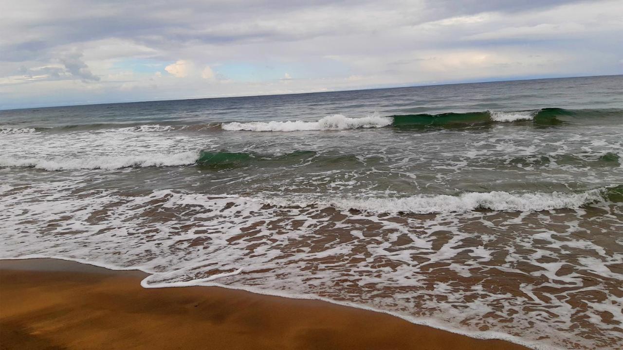Lapalapa Beachfront Hotel Puerto Viejo de Talamanca Εξωτερικό φωτογραφία